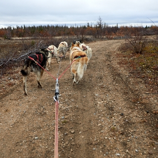 WapuskAdventures-015